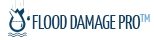 Flood Damage Pro in Takoma