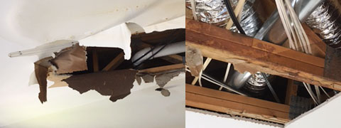 Cleveland Park Burst Pipes Flood